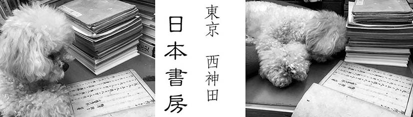 仏教界に辞書は在ったか : 古字書の新研究 | 日本書房